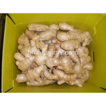 এয়ার শুকনো আদা 250g এবং আপ